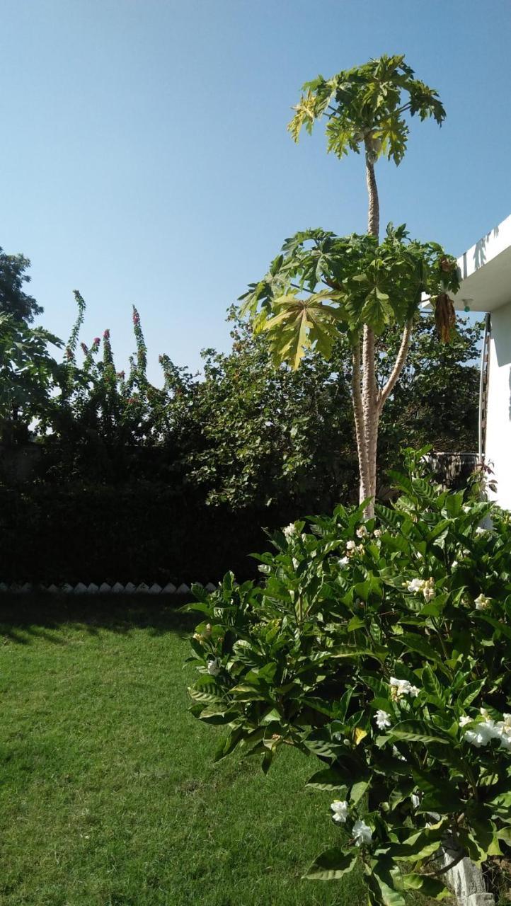 Prem Home Stay Κχατζουράχο Εξωτερικό φωτογραφία